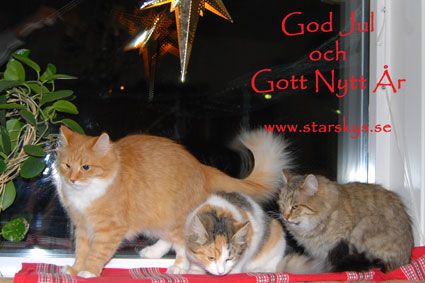god jul