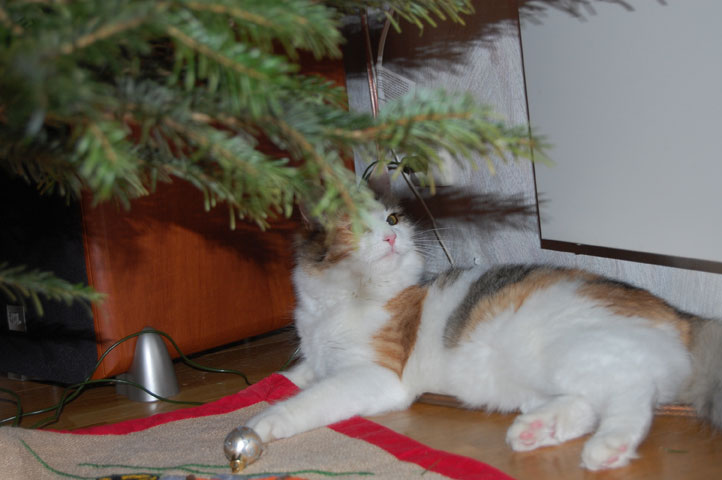 Jul