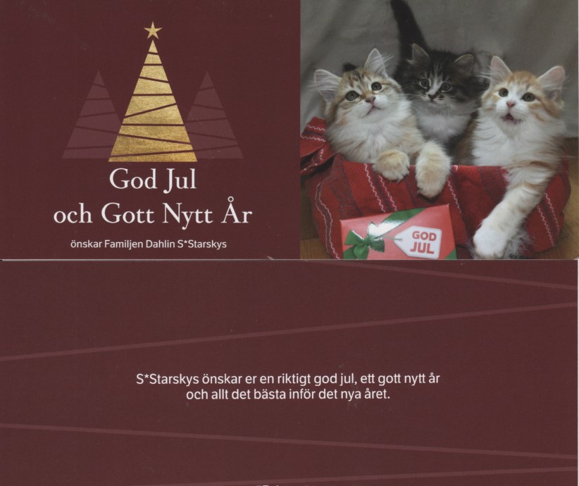 Starskys Julkort