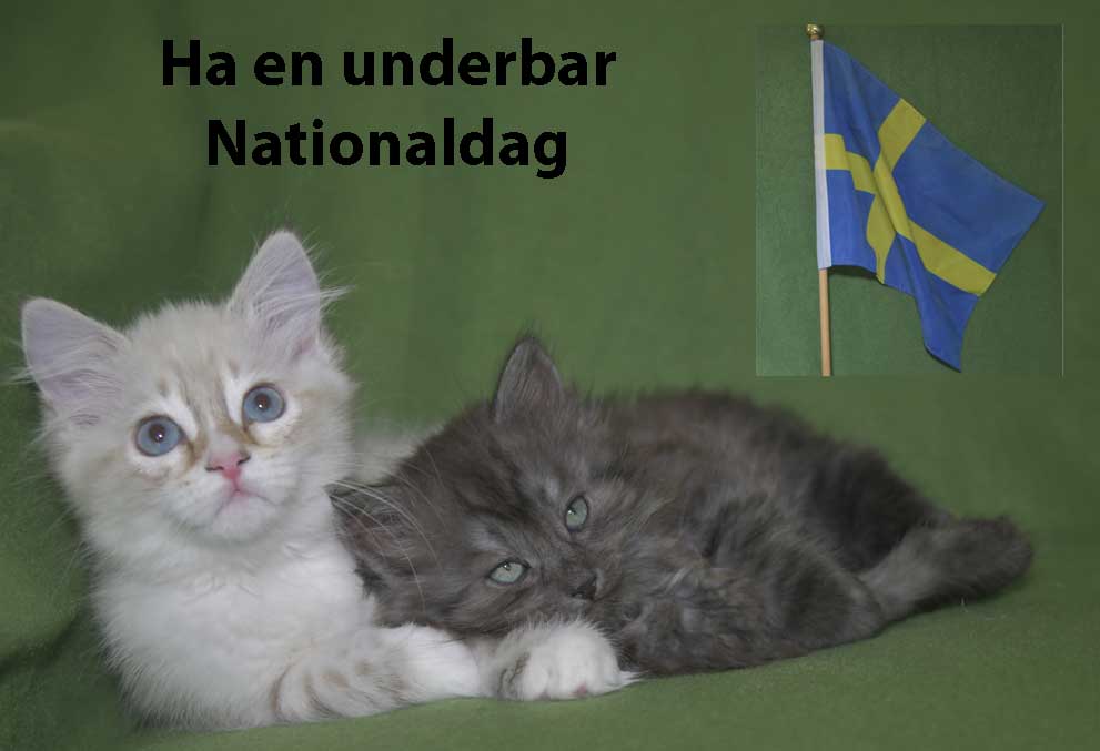 Sveriges Nationaldag Ritz o Skip