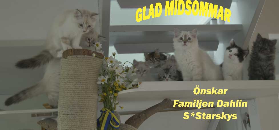 GLAD MIDSOMMAR