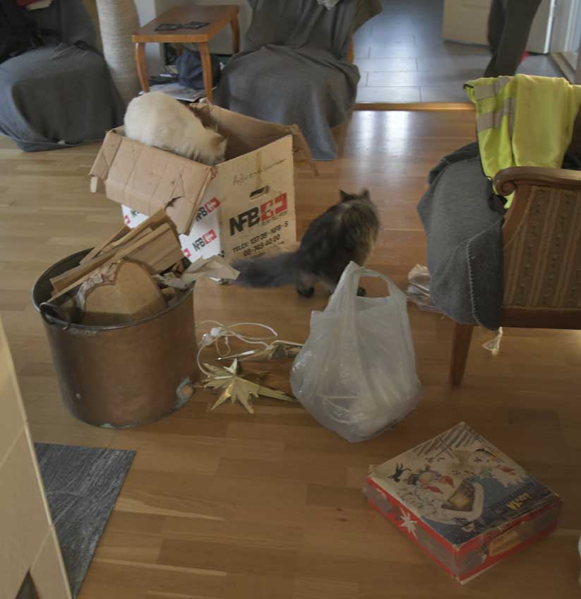 SIB Sir Skip o NEM Ritzi Jul