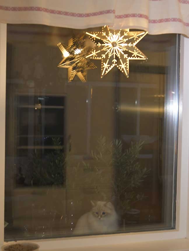 Neva Masquerade Ritzi