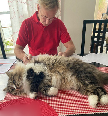 Sibirisk katt Jed Jul