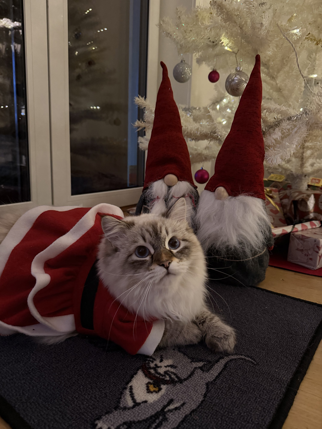 Jul Neva Masquerade Reiko