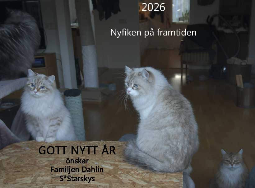 Gott Nytt År 2025