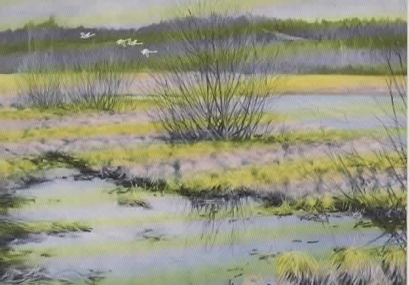 Julkort från Juniors gudmor