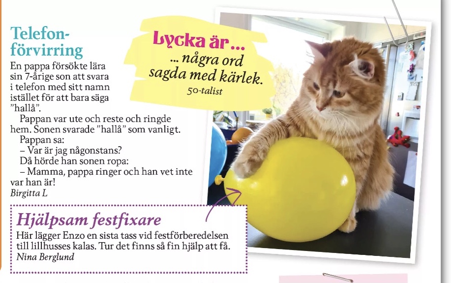 Sibirisk katt Ferrari
